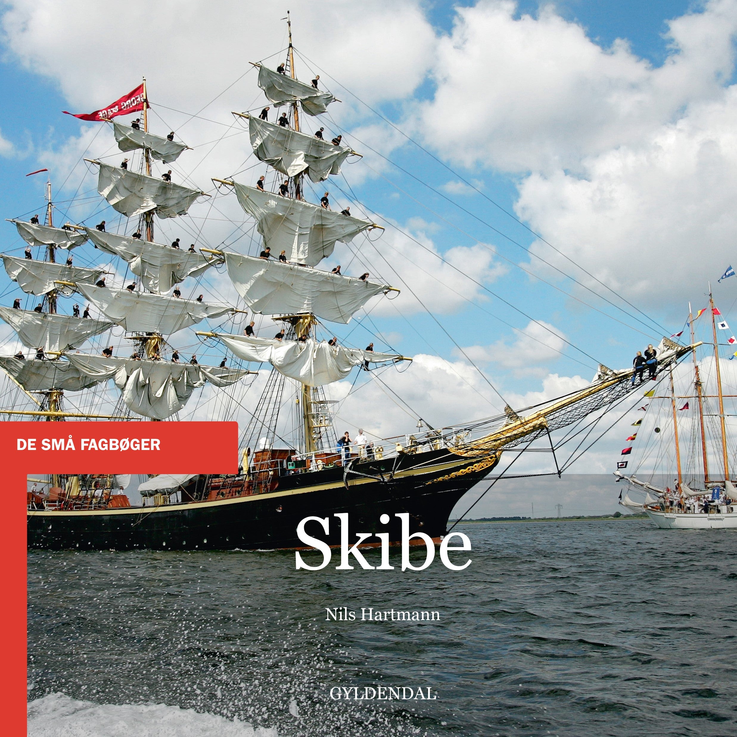Forside billede